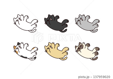 甘えん坊ないろいろな種類のネコのイラストセット 甘えん坊ないろいろな種類のネコのイラストセット 137959020