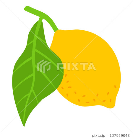 Juicy lemon on twig with leaf, vector flat tropical yellow sour citrus fruit, Mediterranean menu design element Juicy lemon on twig with leaf, vector flat tropical yellow sour citrus fruit, Mediterranean menu design element 137959048