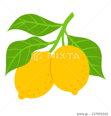 Juicy lemons on branch with leaves, vector flat tropical yellow sour citrus fruits, Mediterranean menu design element 137959102