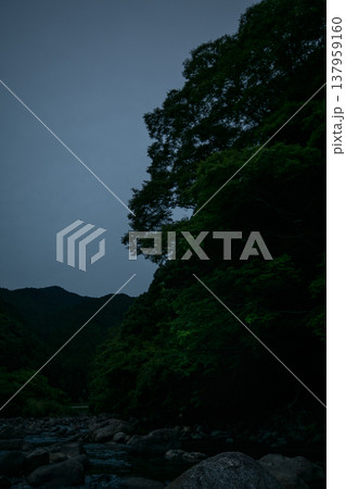 暗闇の森の中を流れる川 137959160