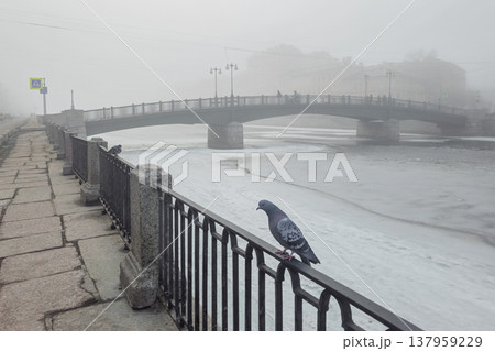 Foggy morning at riverbank, cold and quiet. Saint Petersburg in spring. Foggy morning at riverbank, cold and quiet. Saint Petersburg in spring. 137959229