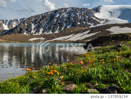 Snow-capped peaks reflect on calm lake waters 137959234