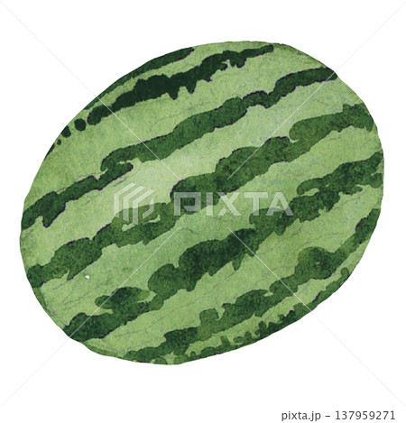 Whole Watermelon Fruit Illustration Whole Watermelon Fruit Illustration 137959271
