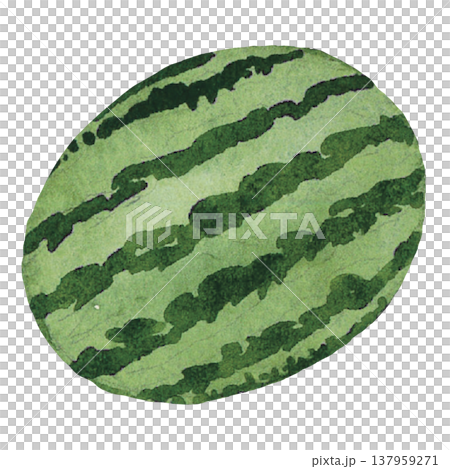 Whole Watermelon Fruit Illustration Whole Watermelon Fruit Illustration 137959271