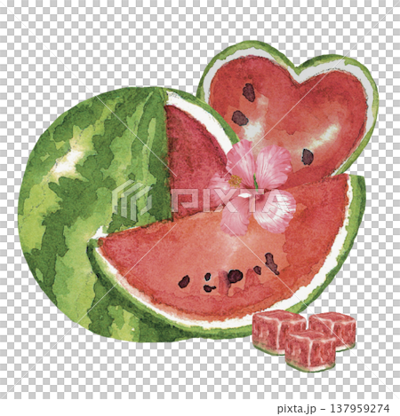 Creative Watermelon Fruit Composition Illustration 137959274