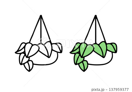 白黒と色ありのハンギング植物のイラストセット 137959377