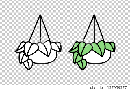 一組黑白和彩色的懸掛植物插圖。 137959377
