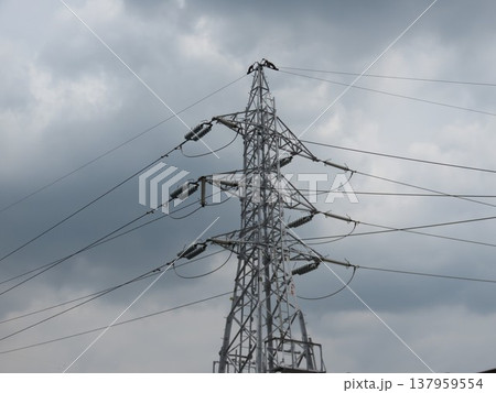 高圧電線 高圧電線 137959554