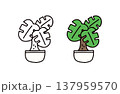 白黒と色ありの観葉植物のイラストセット 137959570