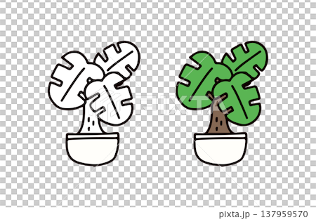 白黒と色ありの観葉植物のイラストセット 137959570