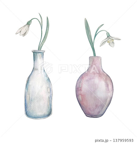 vase with snowdrop flower watercolor vase with snowdrop flower watercolor 137959593