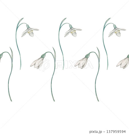 snowdrop flower border seamless pattern watercolor 137959594