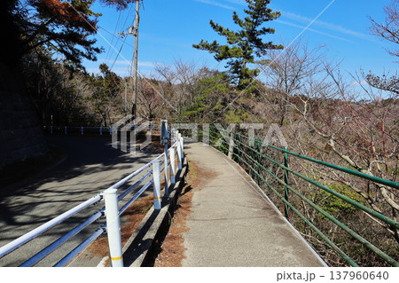六甲山上の道路（兵庫県） 137960640