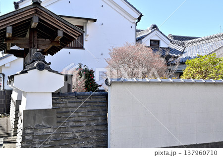 岩槻散歩：長谷川家住宅旧店蔵及び主屋　国登録有形文化財 137960710