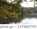 紅葉した木々と水辺 137960759