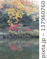 池に映る紅葉 137960760