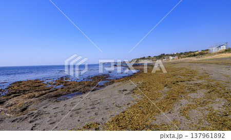 三浦半島三浦市三戸浜の冬 三浦半島三浦市三戸浜の冬 137961892