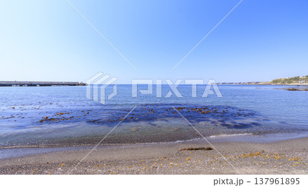 三浦半島三浦市三戸浜の冬 137961895
