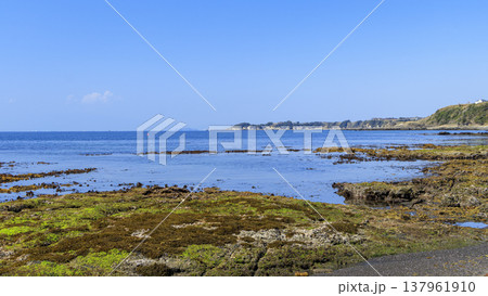 三浦半島三浦市三戸浜の冬 137961910