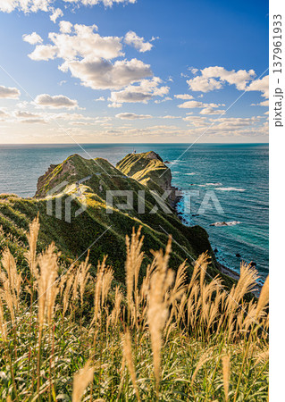 神威岬の遊歩道と断崖の風景 秋のススキと広がる海の絶景 神威岬の遊歩道と断崖の風景 秋のススキと広がる海の絶景 137961933