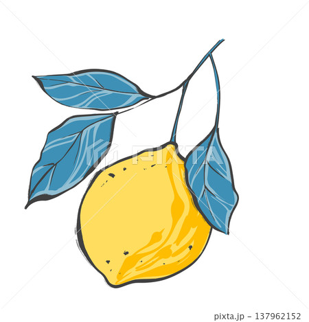 Single yellow lemon fruit on branch with contrasting blue leaves in original hand drawn illustration 137962152