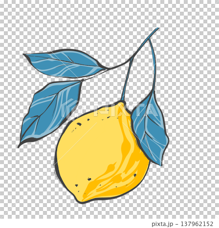 Single yellow lemon fruit on branch with contrasting blue leaves in original hand drawn illustration 137962152