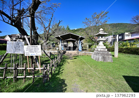 武田信玄 公墓　甲府市岩窪町 137962293