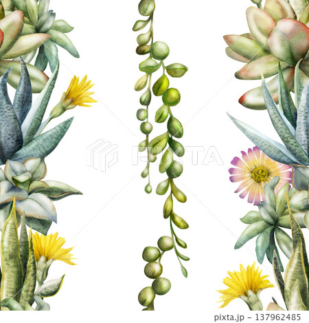 Seamless striped botanical pattern of daisy flowers, sedum, sansevieria rosette succulents, curio hanging vine plants. Isolated illustration hand drawn in watercolor. Home decor textile, eco packaging 137962485