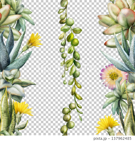 Seamless striped botanical pattern of daisy flowers, sedum, sansevieria rosette succulents, curio hanging vine plants. Isolated illustration hand drawn in watercolor. Home decor textile, eco packaging 137962485
