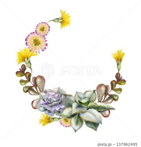 Echeveria rosettes with kalanchoe, sedum leafy branches, flowering succulents. Isolated wreath hand drawn in watercolor. Frame for yoga studio branding, eco lifestyle blogs, minimalist logo design. Echeveria rosettes with kalanchoe, sedum leafy branches, flowering succulents. Isolated wreath hand drawn in watercolor. Frame for yoga studio branding, eco lifestyle blogs, minimalist logo design. 137962495