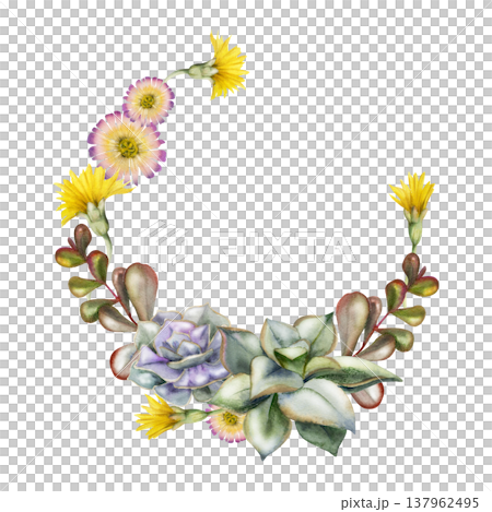 Echeveria rosettes with kalanchoe, sedum leafy branches, flowering succulents. Isolated wreath hand drawn in watercolor. Frame for yoga studio branding, eco lifestyle blogs, minimalist logo design. 137962495