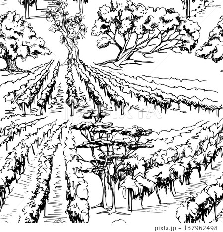 Wine region field landscape, scenic vista with grapevine rows, Mediterranean trees and plants. Hand drawn seamless pattern. Vector illustration in ink. Fabric prints, packaging, digital backgrounds. Wine region field landscape, scenic vista with grapevine rows, Mediterranean trees and plants. Hand drawn seamless pattern. Vector illustration in ink. Fabric prints, packaging, digital backgrounds. 137962498