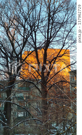 Downtown streets. Winter season and moody city charm. 137962729