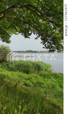 A scenic view of a spring park with still water. Calmness and connection with nature. A scenic view of a spring park with still water. Calmness and connection with nature. 137962875