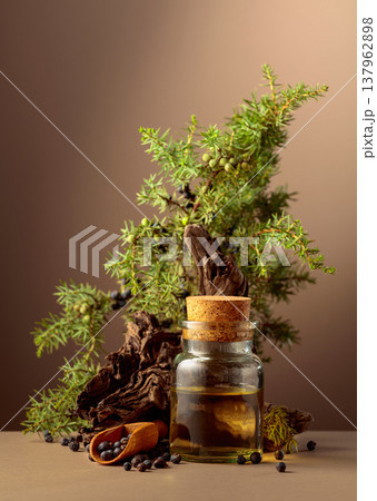 Juniper berry essential oil and green branches with old wooden snags. 137962898