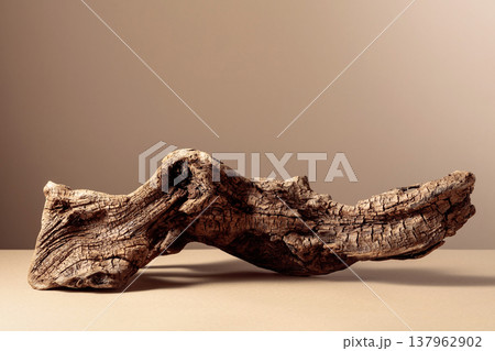 Old dry wooden snag on a beige background. 137962902