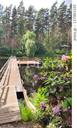 Warm spring light fills a park with trees and a pond. Harmony and refreshing nature vibes. Warm spring light fills a park with trees and a pond. Harmony and refreshing nature vibes. 137963105