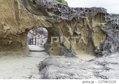 三重県：鬼ヶ城の海蝕洞と岩壁【世界遺産・国指定名勝・日本百景】熊野市 137963220
