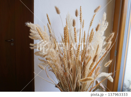 Golden Wheat Stalks and Grains on the white Background Golden Wheat Stalks and Grains on the white Background 137963333