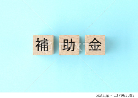 補助金の文字が書かれた木製のブロック 補助金の文字が書かれた木製のブロック 137963385