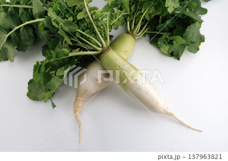 新鮮な葉付き大根 137963821