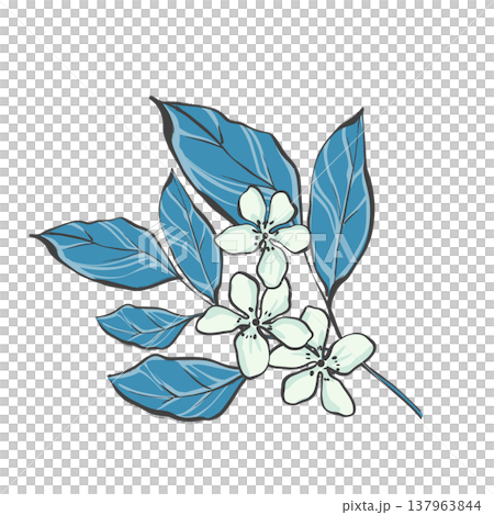 Hand drawn illustration of an elegant blooming branch with flowers and leaves in black line art style on white background. Botanical element for wedding invitations, logo design, wall art and 137963844
