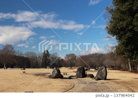 みずほの自然の森公園 137964042