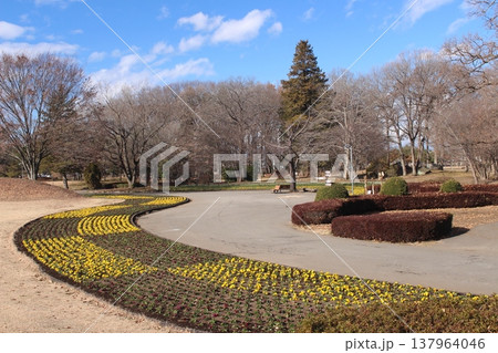 みずほの自然の森公園 137964046