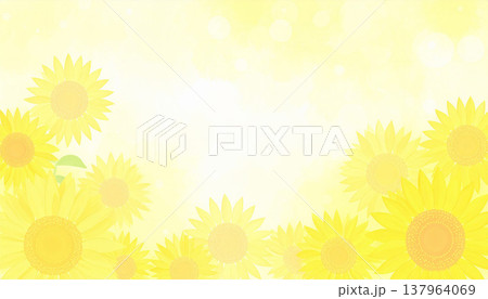 ひまわり 137964069