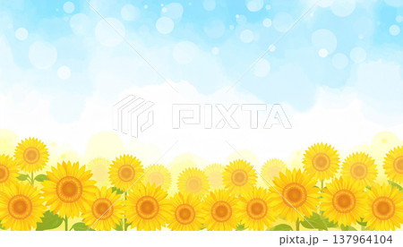 ひまわり ひまわり 137964104