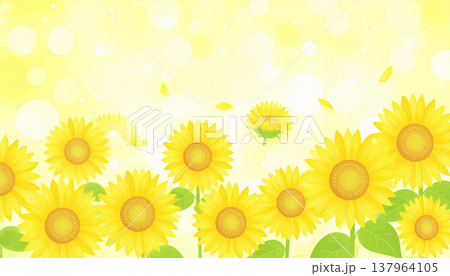 ひまわり 137964105