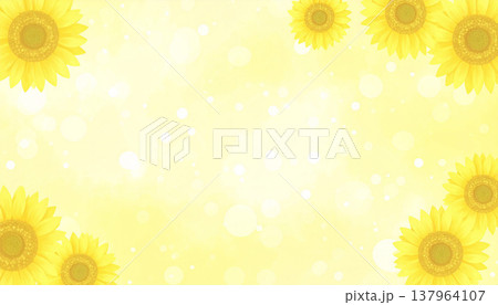 ひまわり 137964107