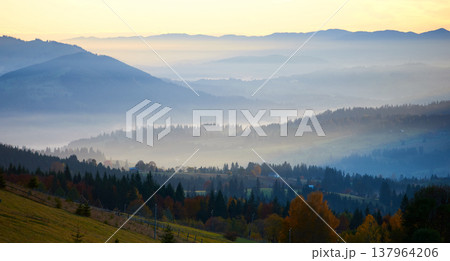 Morning sunlight streams through mist, illuminating serene mountain village nestled among forested hills. Light creates ethereal rays that gently touch autumn foliage and houses scattered on slopes. Morning sunlight streams through mist, illuminating serene mountain village nestled among forested hills. Light creates ethereal rays that gently touch autumn foliage and houses scattered on slopes. 137964206