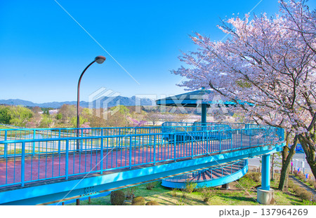 栃木県那須塩原市 春の季節を迎える那須塩原と満開の桜と那須岳 栃木県那須塩原市 春の季節を迎える那須塩原と満開の桜と那須岳 137964269